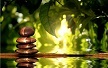 Zen